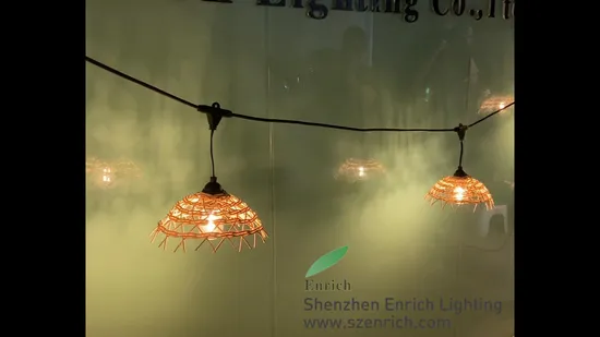 Boho Style LED Festoon Light